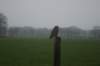 dsc02903_small.jpg
