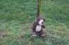 dsc02904_small.jpg