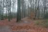dsc02928_small.jpg