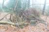 dsc02929_small.jpg