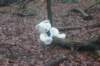 dsc02930_small.jpg