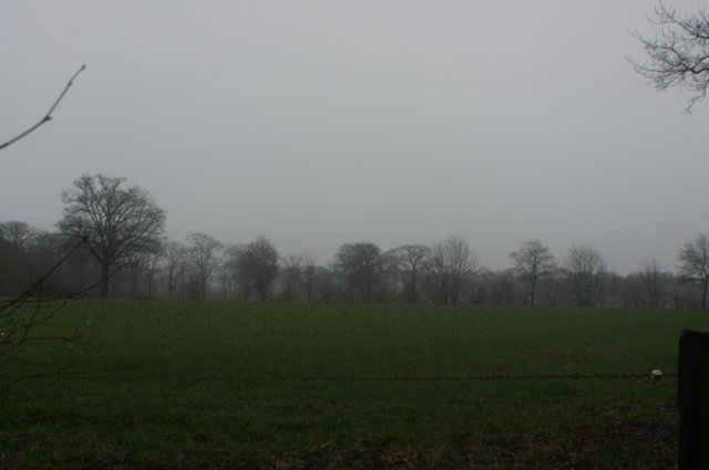 dsc02931.jpg