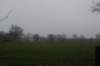 dsc02931_small.jpg