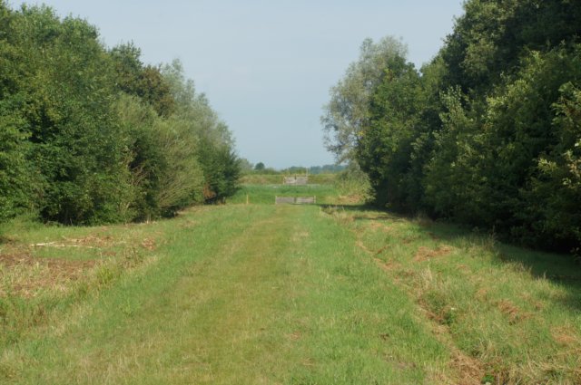 dsc04687.jpg