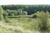 dsc04696_small.jpg