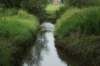 dsc04305_small.jpg