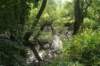 dsc04307_small.jpg