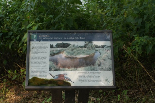 dsc04308.jpg