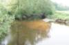 dsc04310_small.jpg