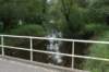 dsc04316_small.jpg