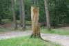 dsc04318_small.jpg