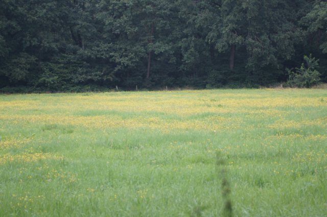 dsc04319.jpg