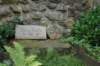 dsc04328_small.jpg