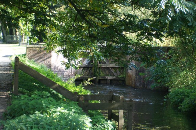 dsc05420.jpg