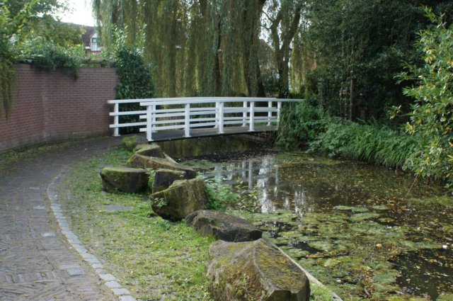 dsc05475.jpg