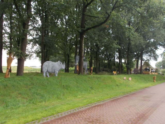dscn0541.jpg