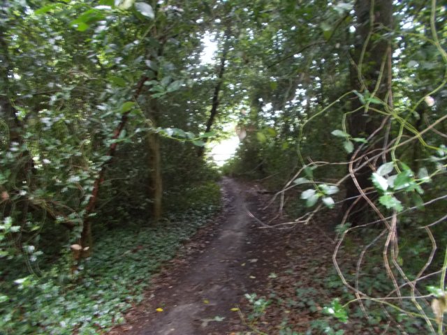 dscn0562.jpg