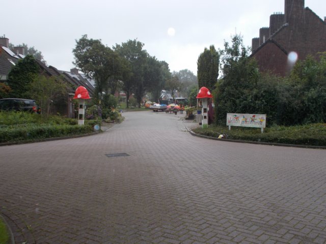 dscn0588.jpg