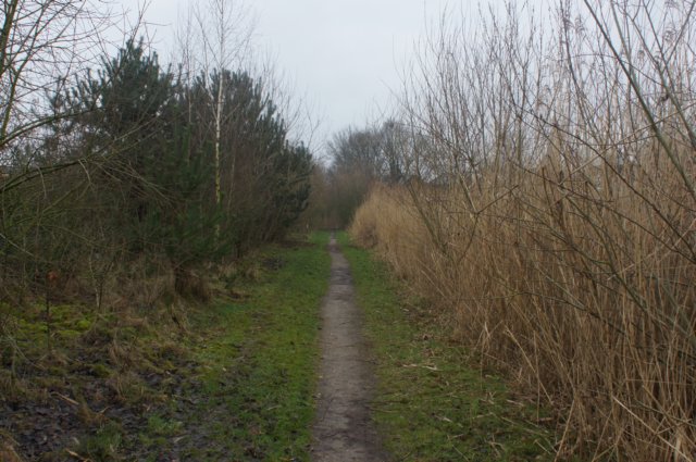 dsc03288.jpg