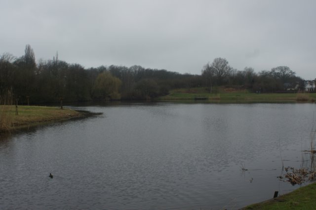 dsc03305.jpg