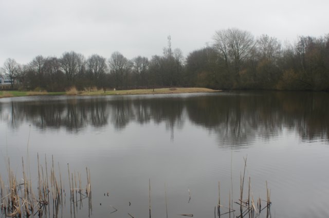 dsc03307.jpg