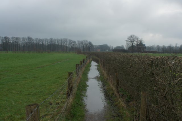 dsc03326.jpg