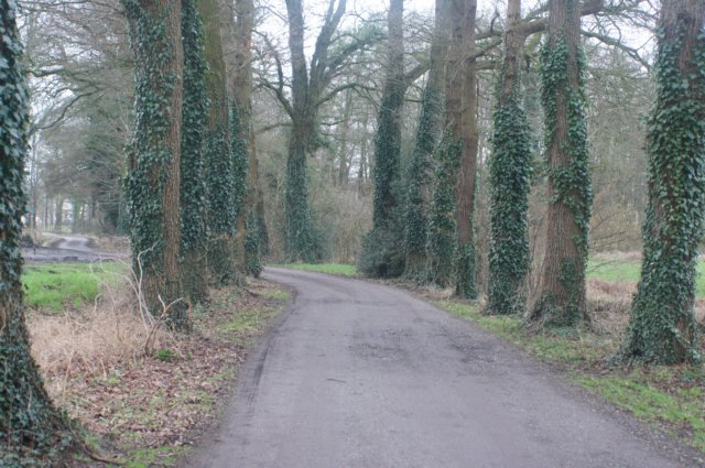 dsc03340.jpg