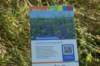 dsc05136_small.jpg