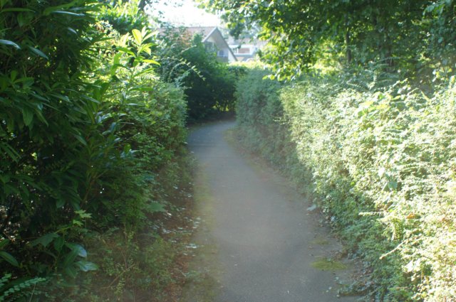 dsc05138.jpg
