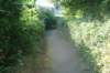 dsc05138_small.jpg