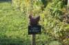 dsc05139_small.jpg
