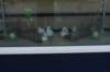 dsc05151_small.jpg