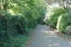 dsc05168_small.jpg