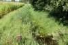 dsc04569_small.jpg