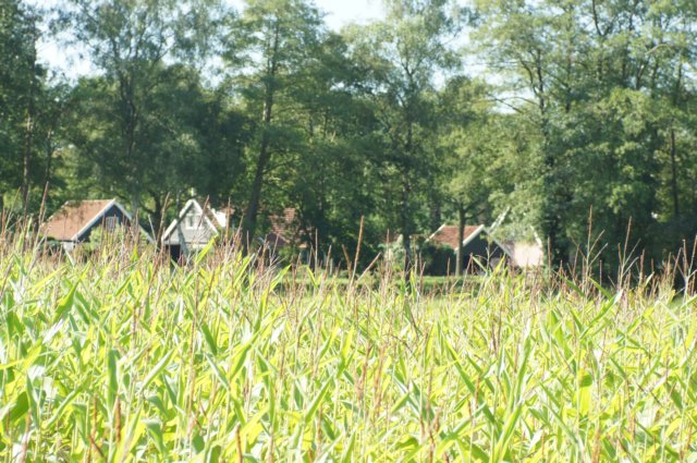 dsc04574.jpg