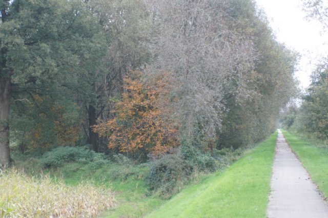 dsc05552.jpg