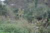 dsc05557_small.jpg