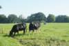 dsc03915_small.jpg