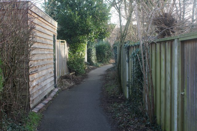 dsc02941.jpg