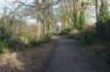 dsc02942_small.jpg