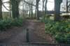 dsc02944_small.jpg