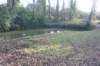 dsc02947_small.jpg