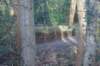 dsc02948_small.jpg