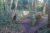 dsc02949_small.jpg