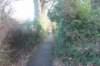 dsc02954_small.jpg