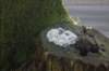 dsc02956_small.jpg