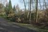 dsc02958_small.jpg