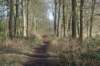 dsc02969_small.jpg