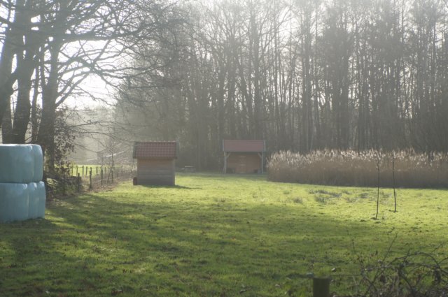 dsc02975.jpg