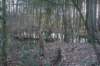 dsc02977_small.jpg